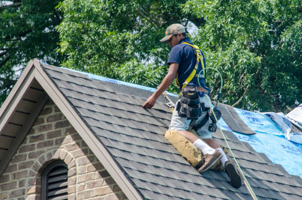 Best Gutter Installation and Roofing  in Fredericksburg, PA
